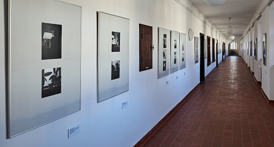 Pavel Rudolf / Fotografie